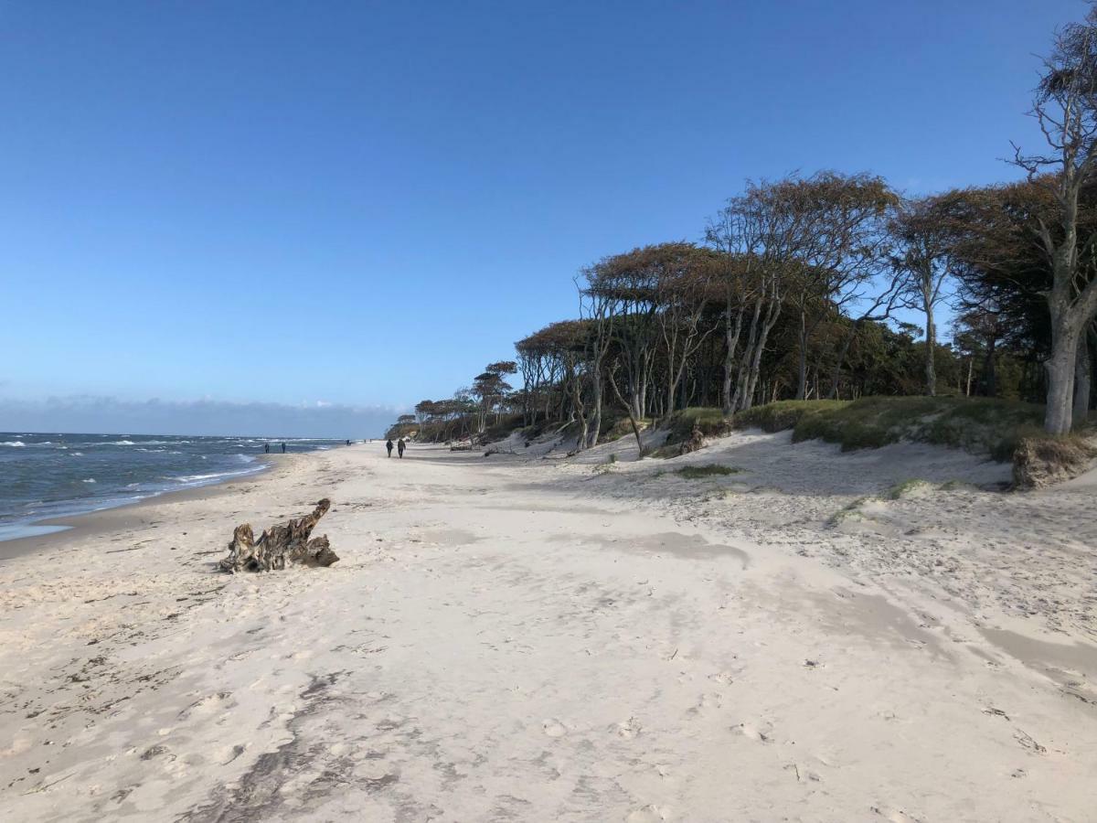 Prerow „Seaside“-Strandnah! Kültér fotó