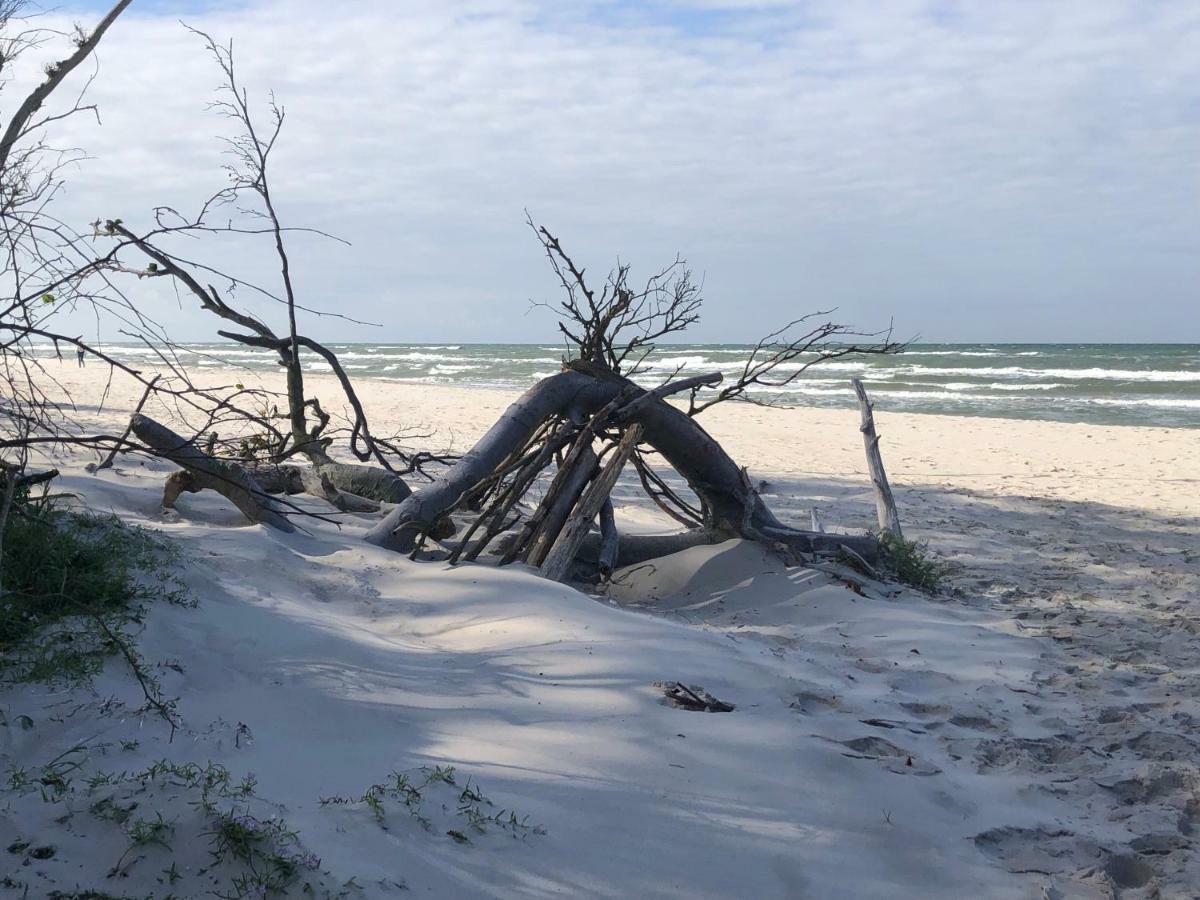 Prerow „Seaside“-Strandnah! Kültér fotó