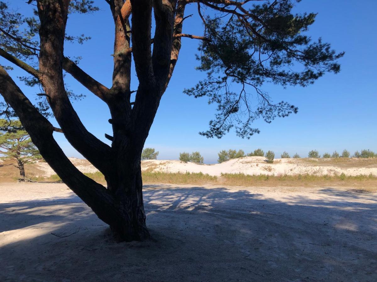 Prerow „Seaside“-Strandnah! Kültér fotó
